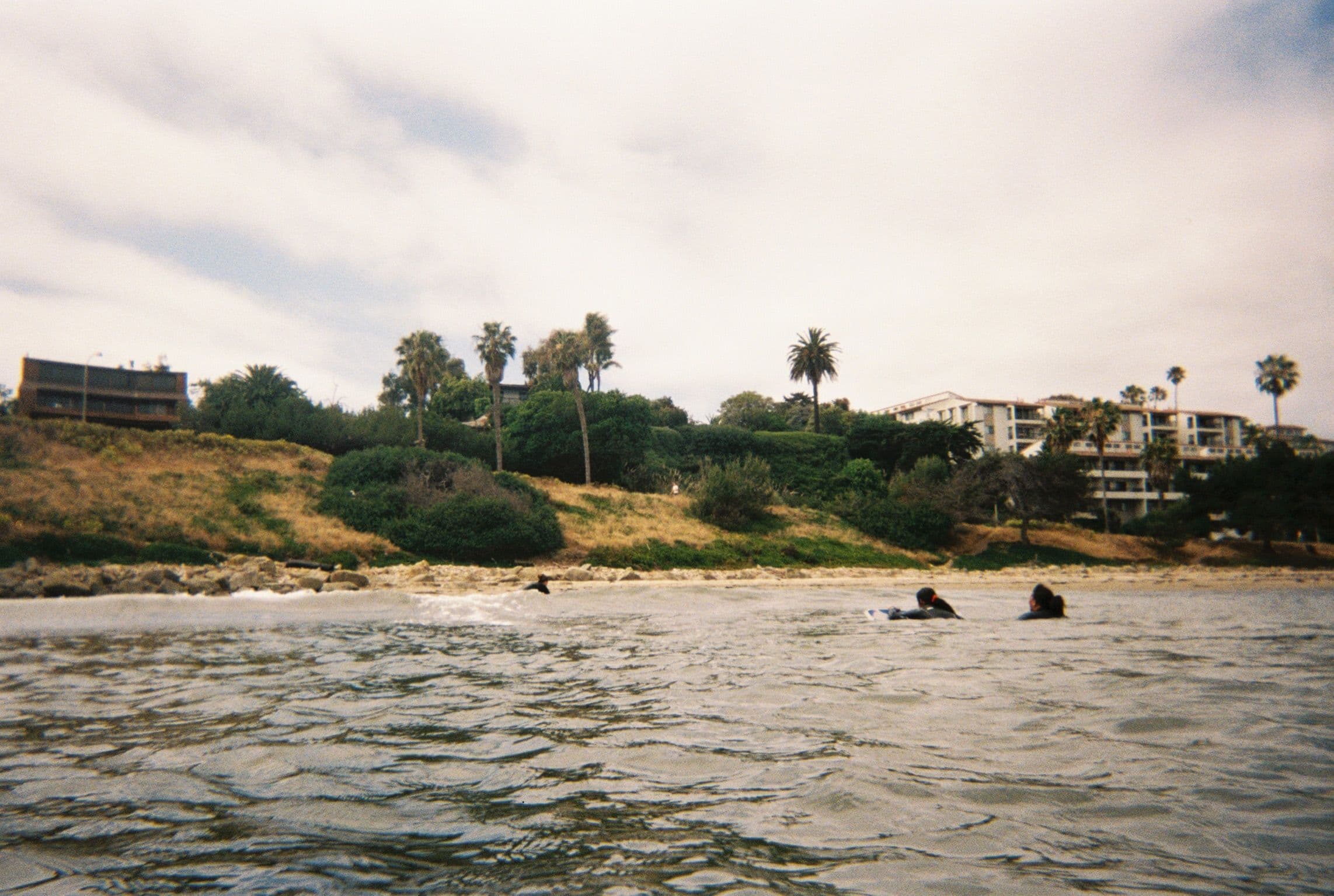 Cover image for article: Ocean Science Programs for Kids in Santa Barbara